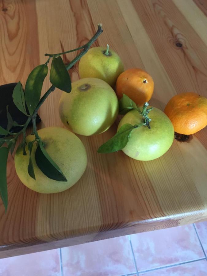 Tormos Casa Alestelou מראה חיצוני תמונה